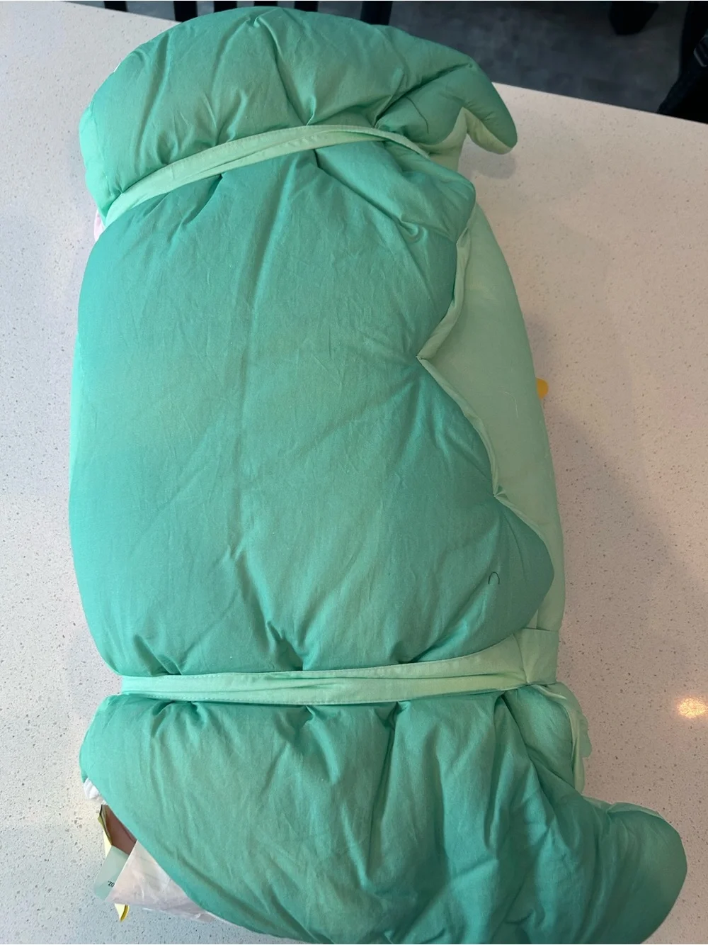 Pottery Barn Kid’s Mermaid Sleeping Bag NWOT